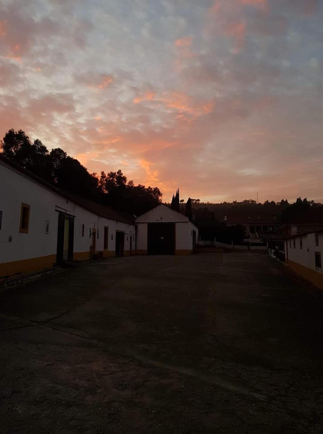 Horse Riding Country House Vila Franca de Xira Exterior foto