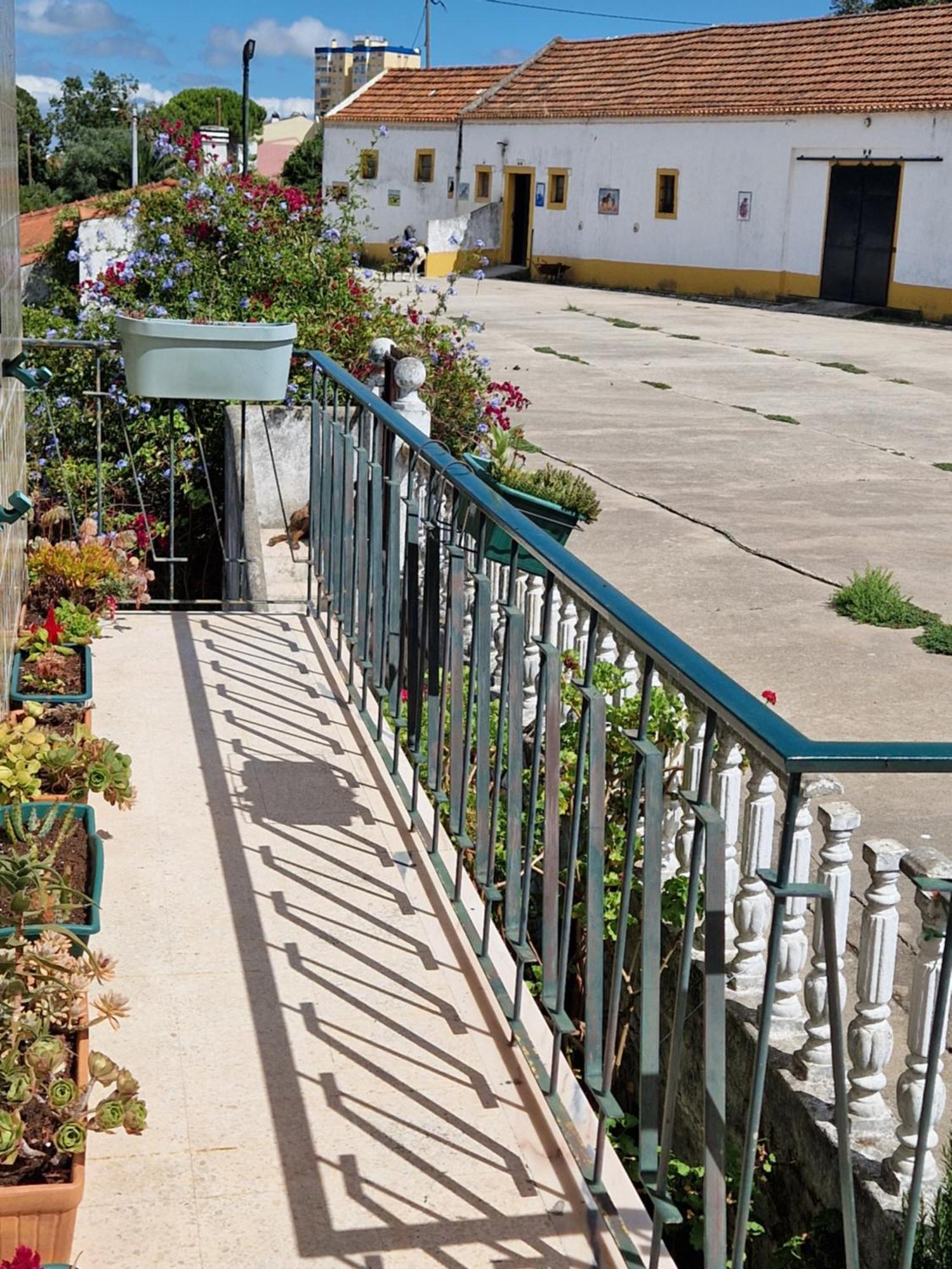 Horse Riding Country House Vila Franca de Xira Exterior foto